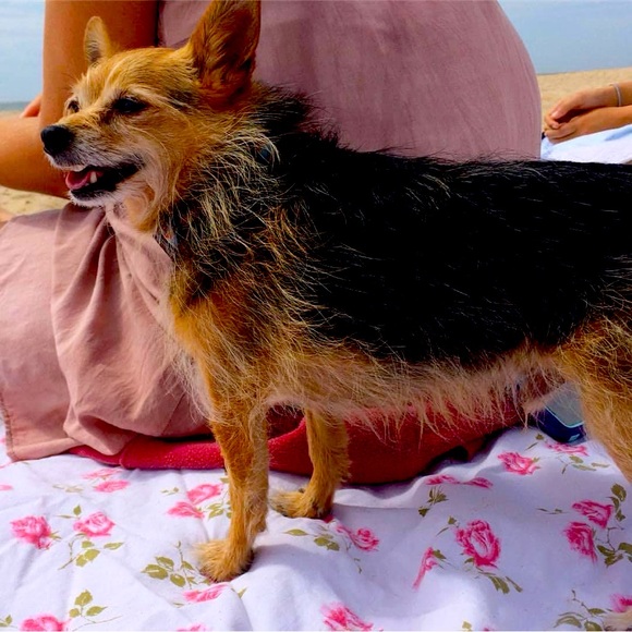 Meet your Posher, Stacy - Picture 1 of 1